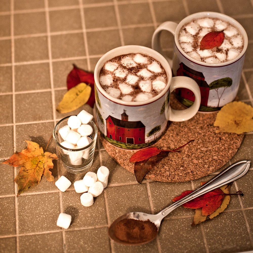 Fall Cooking 2